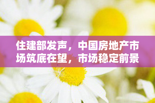 住建部发声，中国房地产市场筑底在望，市场稳定前景可期