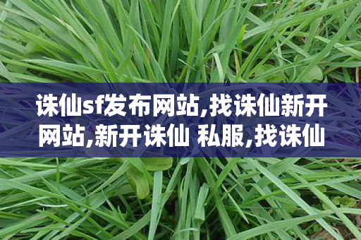 诛仙sf发布网站,找诛仙新开网站,新开诛仙 私服,找诛仙新开网站