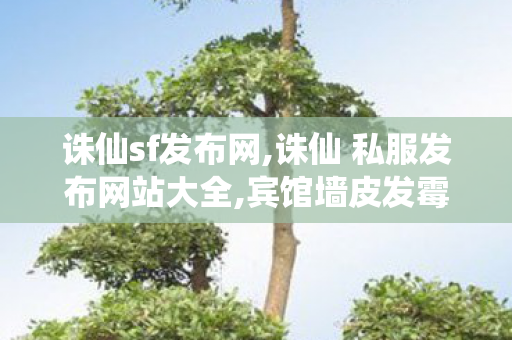 诛仙sf发布网,诛仙 私服发布网站大全,宾馆墙皮发霉拒退款：70块还想住多好,诛仙 私服发布网站大全