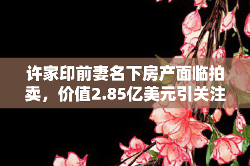 许家印前妻名下房产面临拍卖，价值2.85亿美元引关注