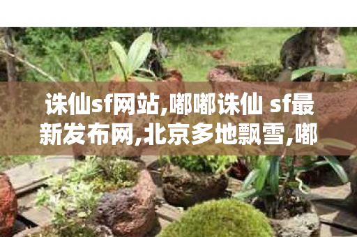 诛仙sf网站,嘟嘟诛仙 sf最新发布网,北京多地飘雪,嘟嘟诛仙 sf最新发布网