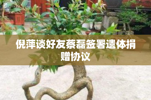倪萍谈好友蔡磊签署遗体捐赠协议