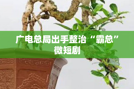 广电总局出手整治“霸总”微短剧
