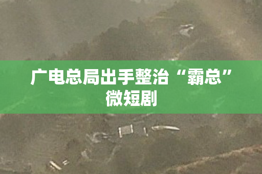 广电总局出手整治“霸总”微短剧