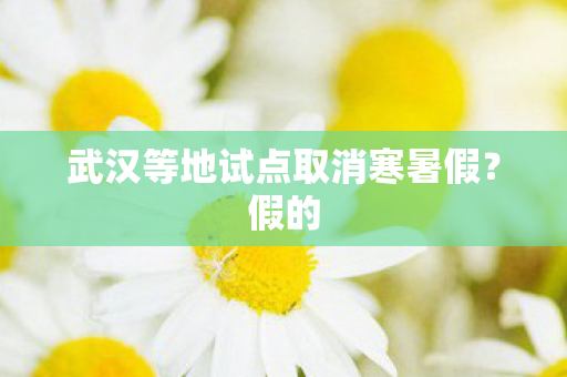 武汉等地试点取消寒暑假？假的