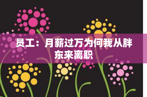 员工：月薪过万为何我从胖东来离职