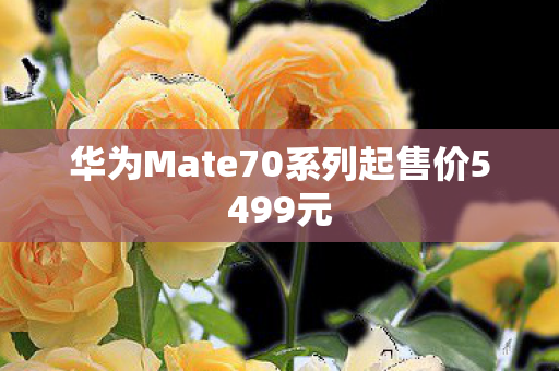 华为Mate70系列起售价5499元