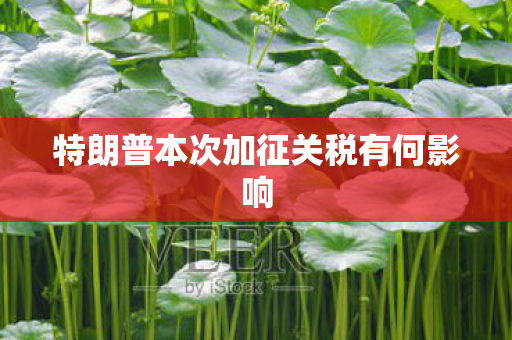 特朗普本次加征关税有何影响