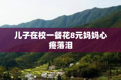 儿子在校一餐花8元妈妈心疼落泪