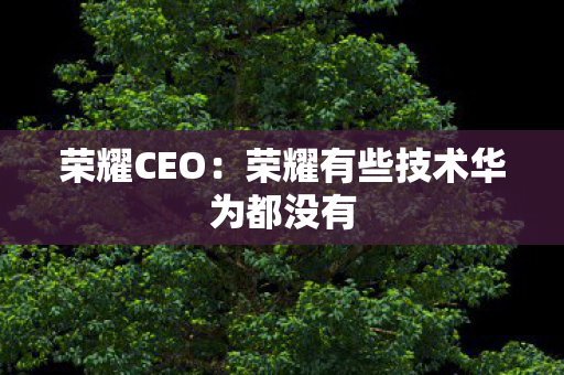 荣耀CEO：荣耀有些技术华为都没有