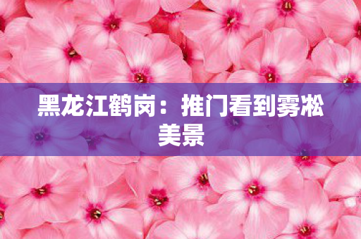 黑龙江鹤岗：推门看到雾凇美景