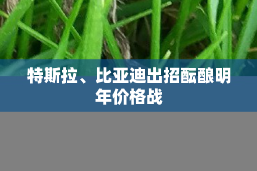 特斯拉、比亚迪出招酝酿明年价格战