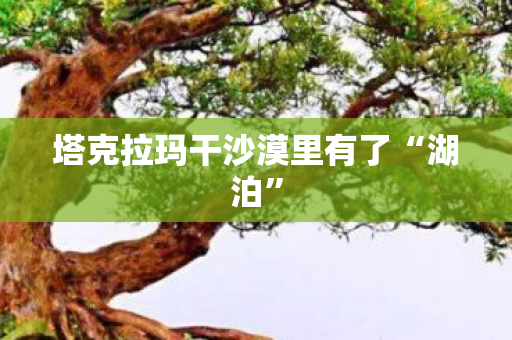 塔克拉玛干沙漠里有了“湖泊”