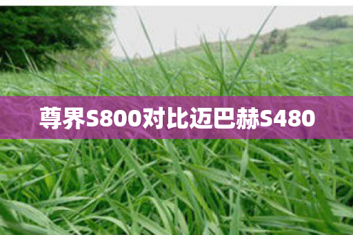 尊界S800对比迈巴赫S480