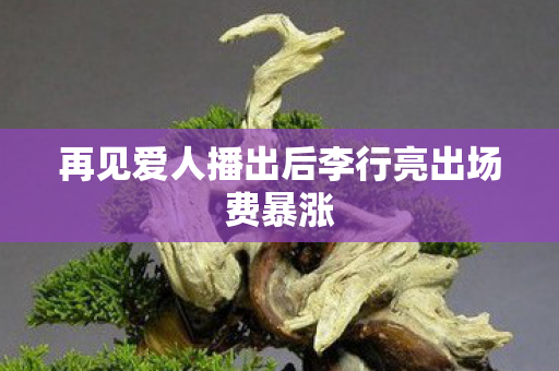 再见爱人播出后李行亮出场费暴涨