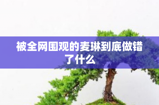 被全网围观的麦琳到底做错了什么