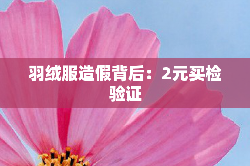 羽绒服造假背后：2元买检验证