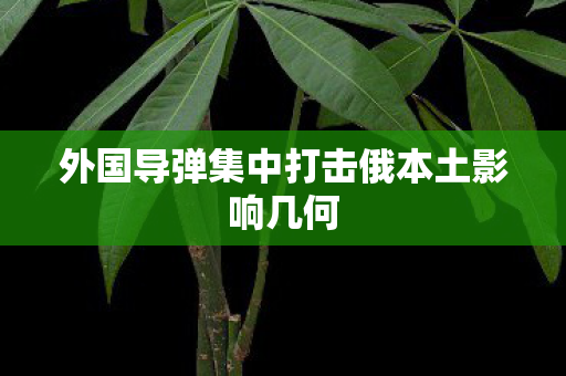 外国导弹集中打击俄本土影响几何