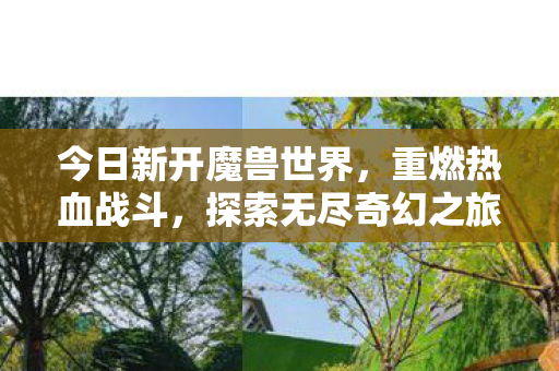 今日新开魔兽世界，重燃热血战斗，探索无尽奇幻之旅