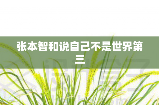 张本智和说自己不是世界第三