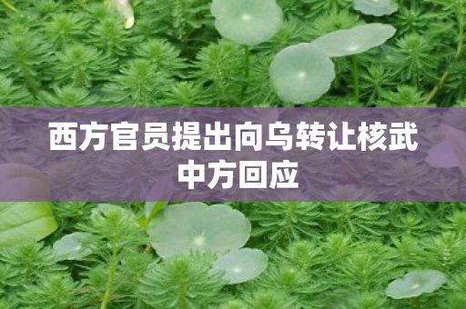 西方官员提出向乌转让核武 中方回应