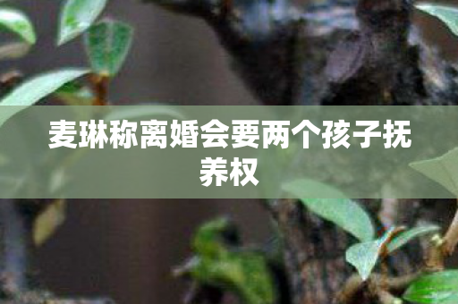 麦琳称离婚会要两个孩子抚养权
