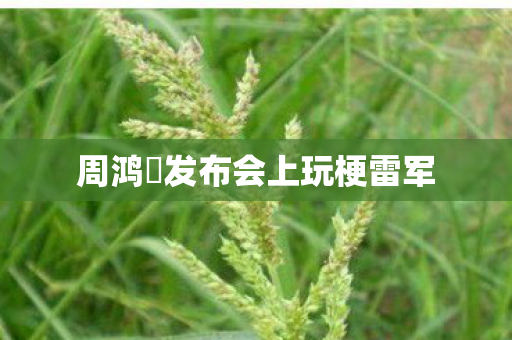 周鸿祎发布会上玩梗雷军