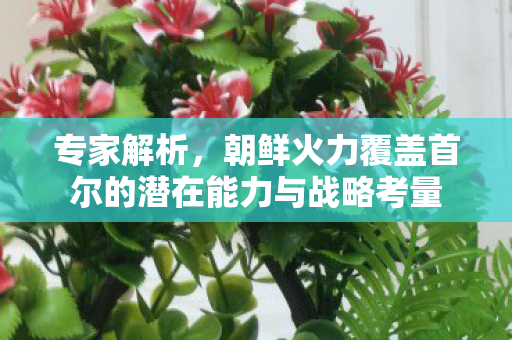 专家解析，朝鲜火力覆盖首尔的潜在能力与战略考量