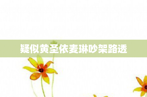 疑似黄圣依麦琳吵架路透