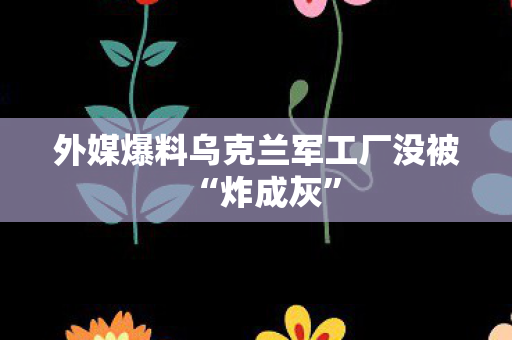 外媒爆料乌克兰军工厂没被“炸成灰”