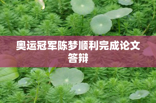 奥运冠军陈梦顺利完成论文答辩