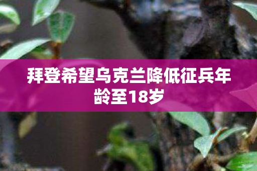 拜登希望乌克兰降低征兵年龄至18岁