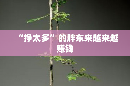 “挣太多”的胖东来越来越赚钱