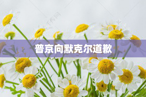 普京向默克尔道歉