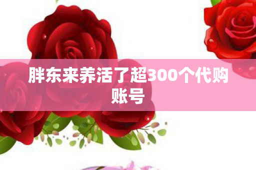 胖东来养活了超300个代购账号