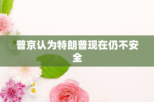 普京认为特朗普现在仍不安全