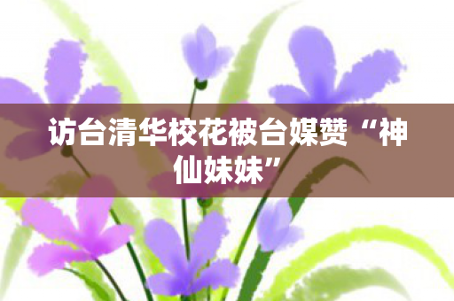 访台清华校花被台媒赞“神仙妹妹”