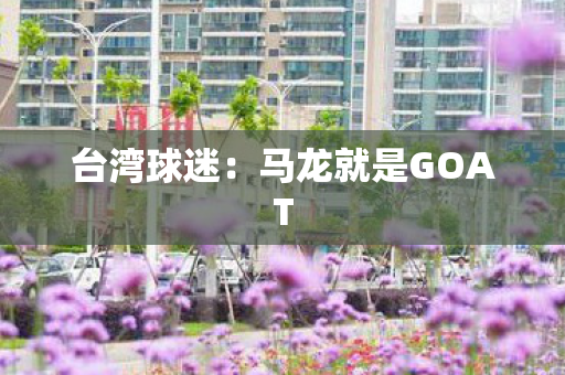 台湾球迷：马龙就是GOAT