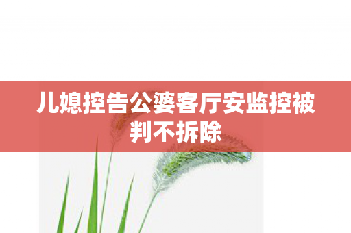 儿媳控告公婆客厅安监控被判不拆除