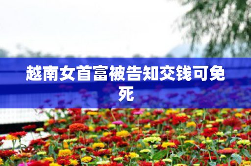越南女首富被告知交钱可免死