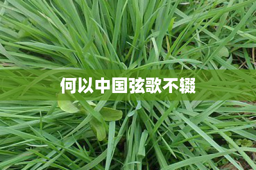 何以中国弦歌不辍