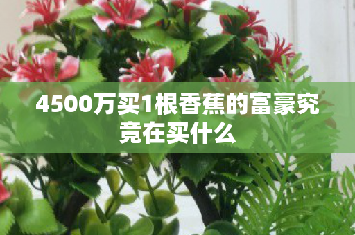 4500万买1根香蕉的富豪究竟在买什么