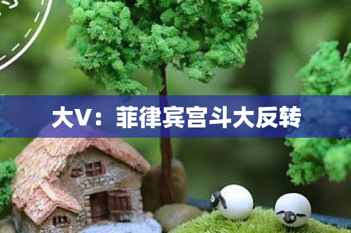 大V：菲律宾宫斗大反转