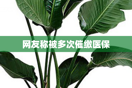 网友称被多次催缴医保