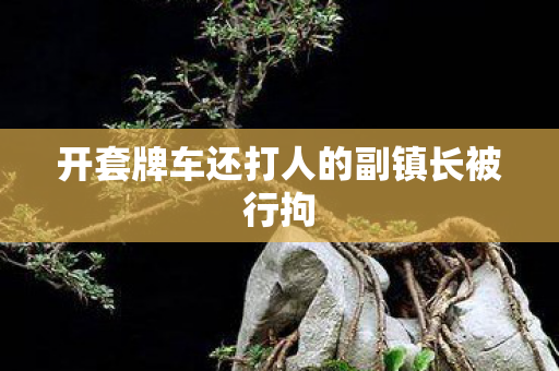 开套牌车还打人的副镇长被行拘