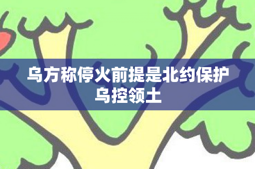 乌方称停火前提是北约保护乌控领土