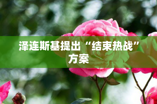 泽连斯基提出“结束热战”方案