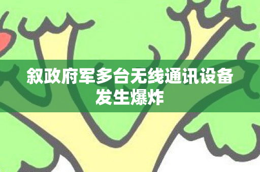 叙政府军多台无线通讯设备发生爆炸