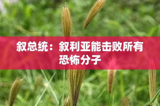 叙总统：叙利亚能击败所有恐怖分子