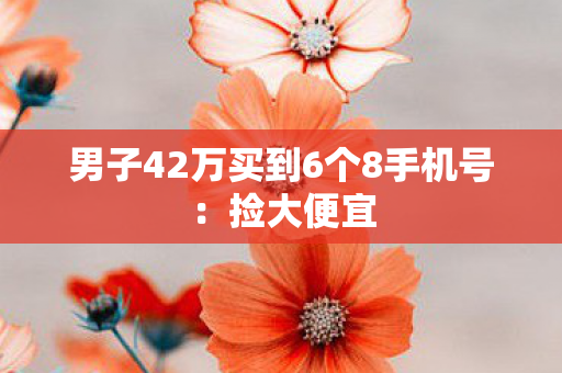 男子42万买到6个8手机号：捡大便宜